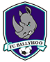 Ballyhoo Sports Academy